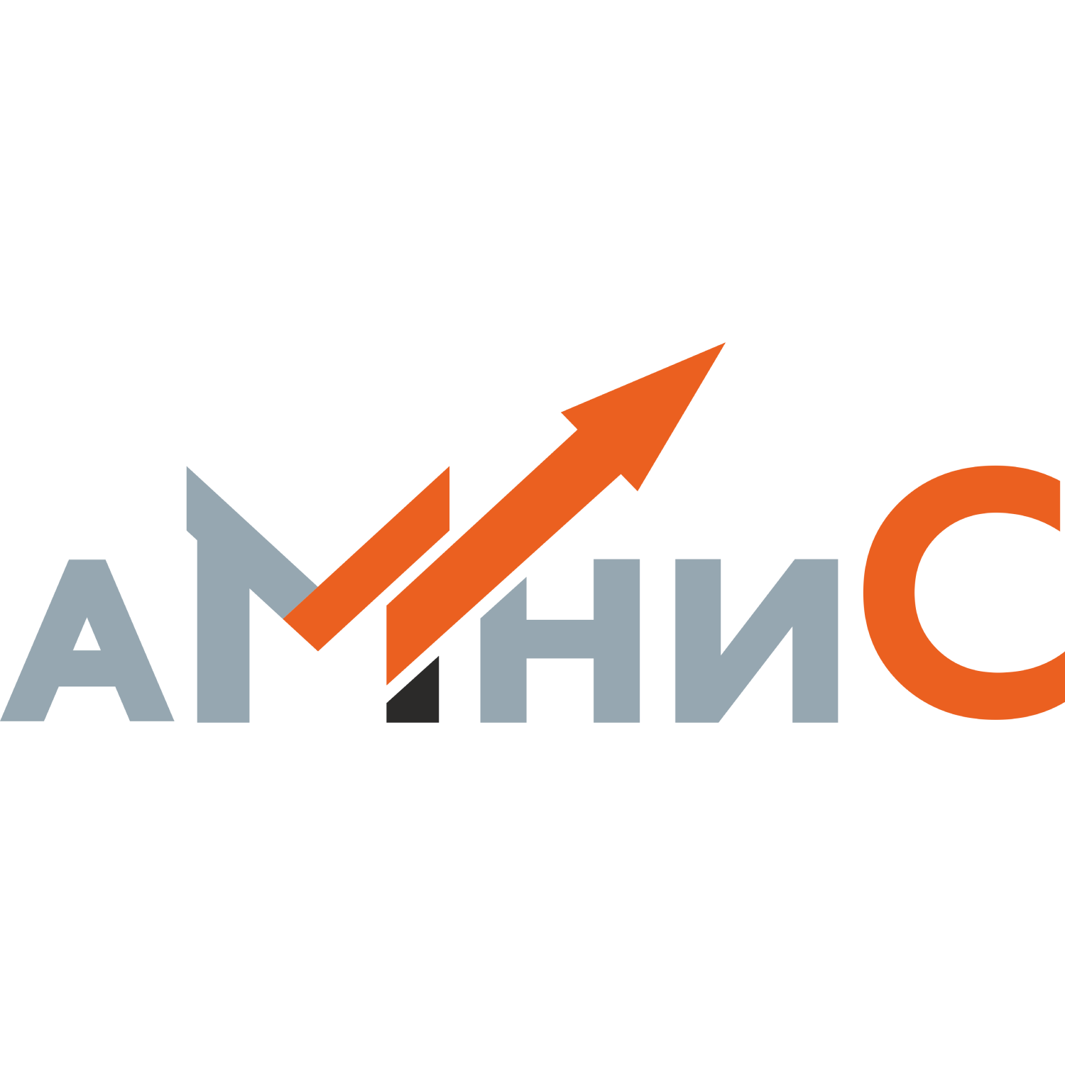 АМНИС